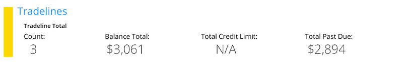How to Read a Credit Report for Landlord Tenant Screening - MikeLembeck.com